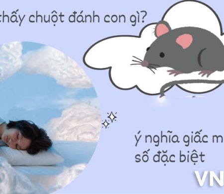 Vn88 giải mã giấc mơ khi mơ thấy chuột đánh con gì?