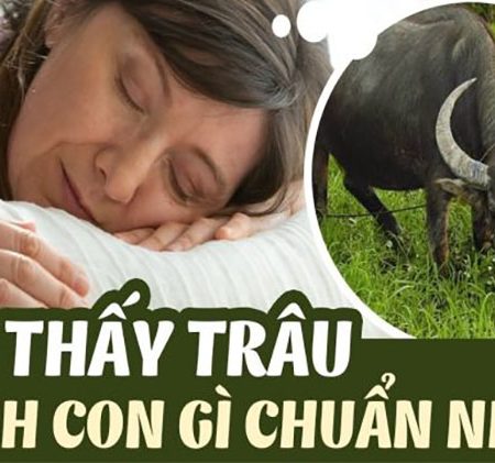 Mơ thấy con trâu đánh con gì cho cho chuẩn?