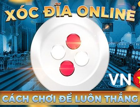 Tìm hiểu chi tiết cách phân tích bảng vị xóc dĩa hiệu quả nhất